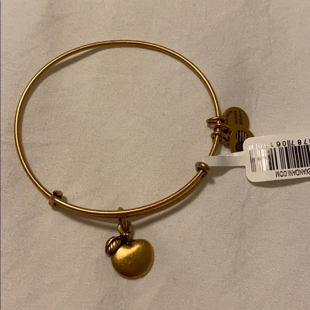 Alex and Ani Apple Bangle